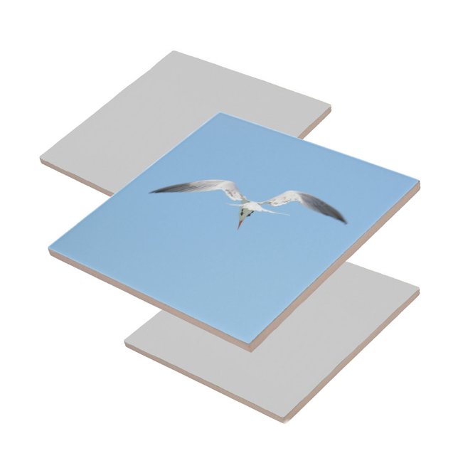 Real Tern no voo Coastal Blue (1 of 7 coordinating coastal Terns in flight ceramic tiles)