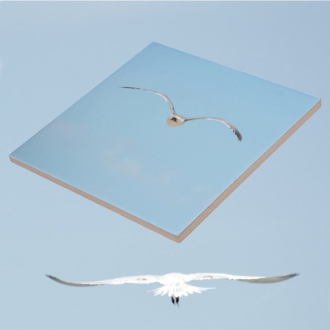 Real Tern no voo do céu costeiro azul (1 of 7 coordinating coastal sky blue ceramic tiles with Royal Terns in flight)