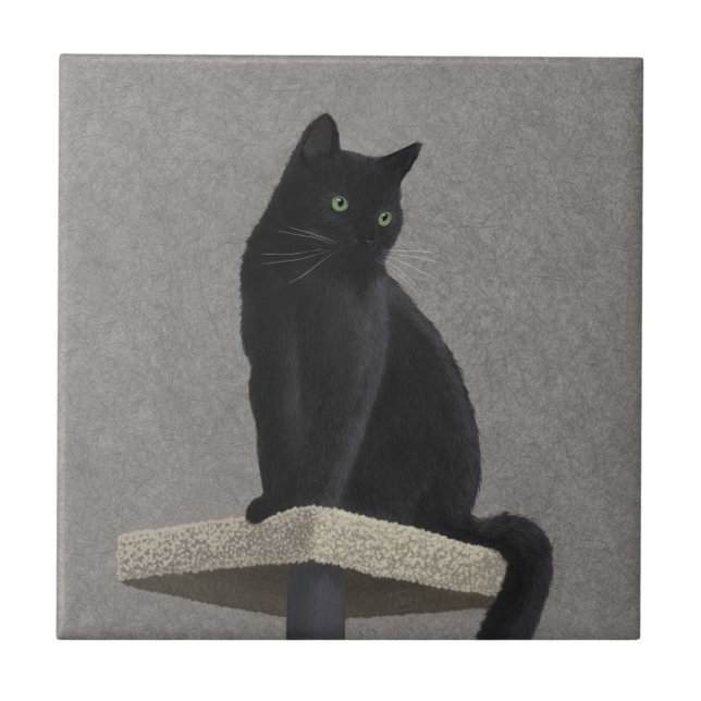 Realeza do Gato Preto (Frente)