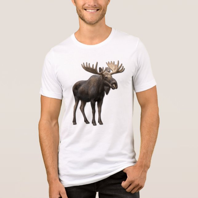 REALISTIC MOOSE DESIGN. SAMER BRASIL (Frente)