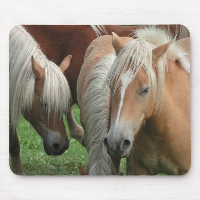 Rebanho Mousepad do Palomino (Frente)