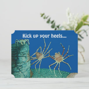 Receba seu convite de calcanhares