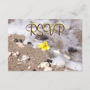 Receptáculo de resposta convidado RSVP Seashells, 