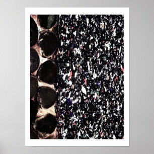 Reciclar ~ Pring / Poster / Fotografia