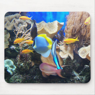 Recife de corais Mousepad