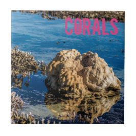 Recife de corais na maré baixa do dom le morne mau