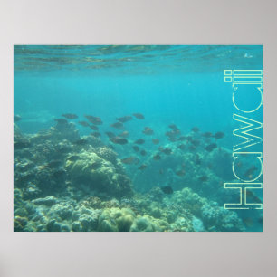 Recife de corais submarino Hawaii poster