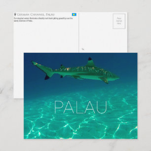 Recife de Tubarão, Cartão Postal de Viagem de Pala
