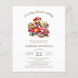 Recolha de Chás de fraldas Cute de Orçamento Local