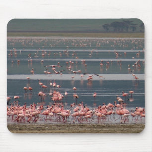 Recolha de Flamingo - Mousepad
