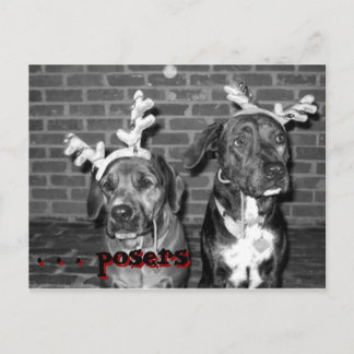 recontraste de registro do cartão xmas, . . ... ..