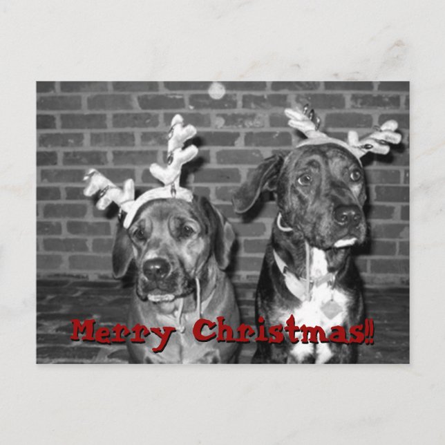 recontraste do cartão xmas, Feliz Natal!!!,... (Frente)