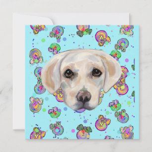 RECUPERADOR DE LABRADOR         