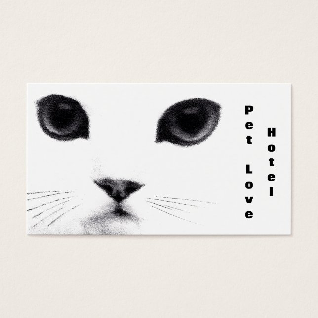 Recursos de Cat Clássico (Frente)