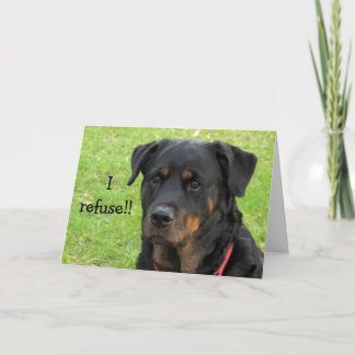 Recusar o Rottweiler Obter Cartão de Correio