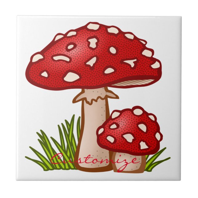 Red Amanita Mushroom Thunder_Cove (Frente)