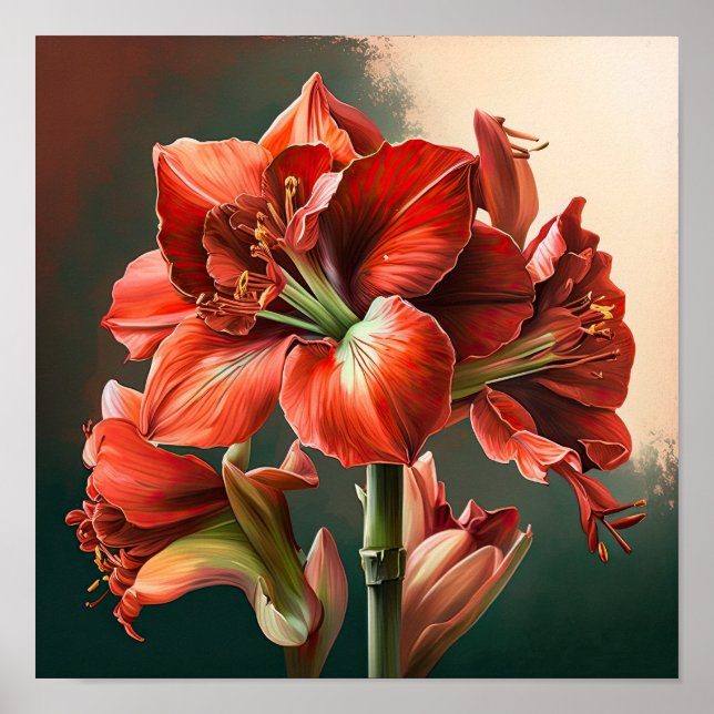 Red Amaryllis Flower Art Poster (Frente)