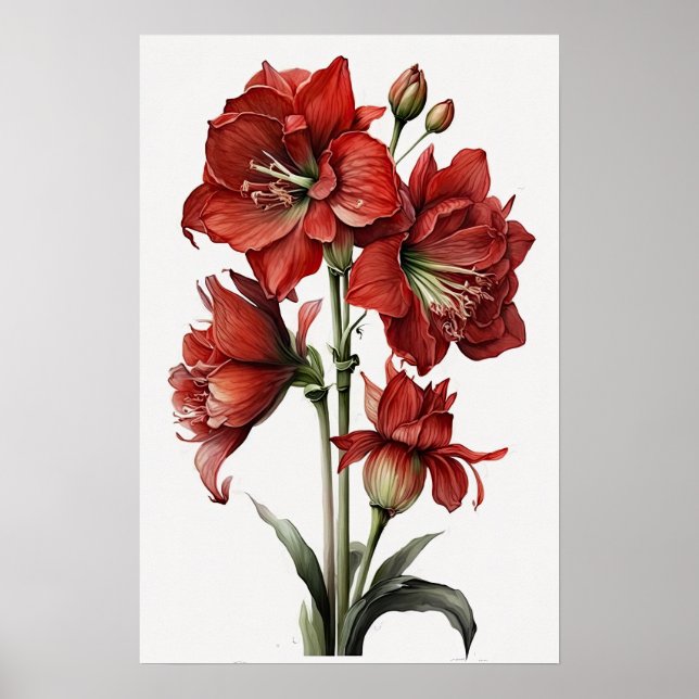 Red Amaryllis Flower Art Poster (Frente)