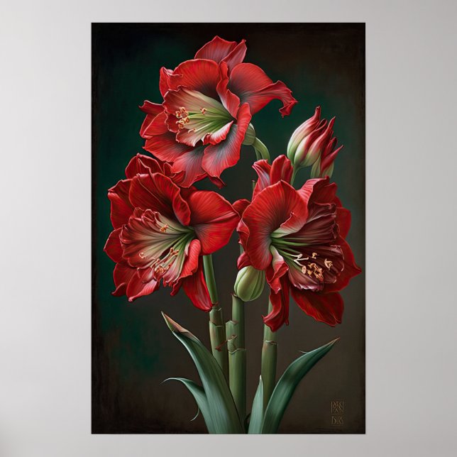 Red Amaryllis Flower Art Poster (Frente)