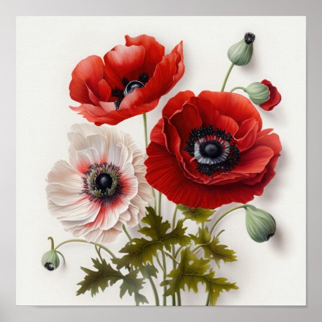 Red Anemone Flowers Art Impressão Poster (Frente)