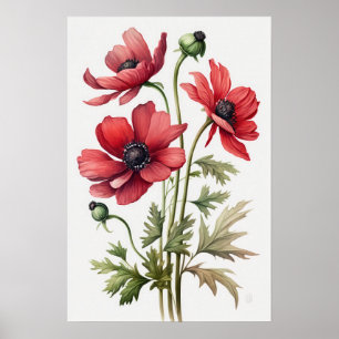 Red Anemone Flowers Art Impressão Poster