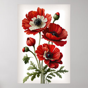 Red Anemone Flowers Art Impressão Poster
