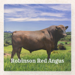 Red Angus Bull  