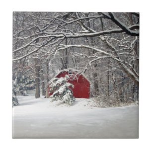 Red Barn na neve 2011