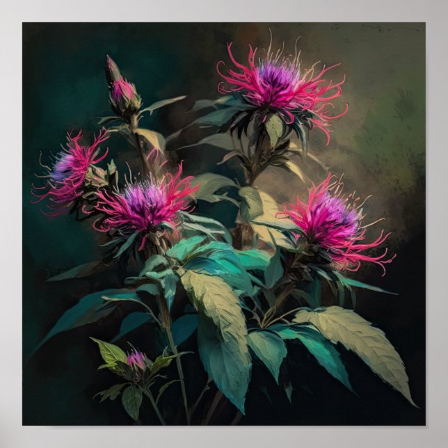 Red Bee Balm Flower Art Impressão Poster (Frente)
