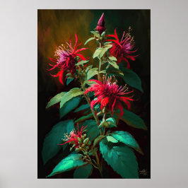 Red Bee Balm Flower Art Impressão Poster