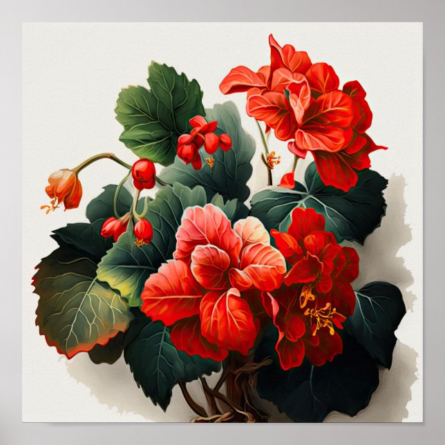 Red Begonias Flower Art Impressão Poster (Frente)