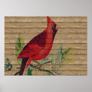 Red Bird Cardinal Photo Nature Poster