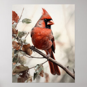 Red Cardinal Bird Art Impressão