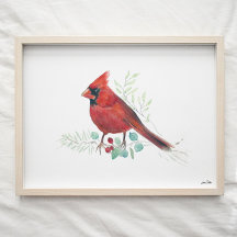 Red Cardinal Watercolor Art Impressão
