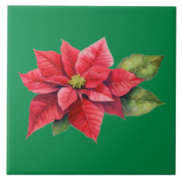 Red Christmas Poinsettia