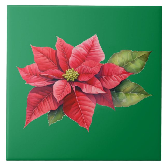 Red Christmas Poinsettia (Frente)