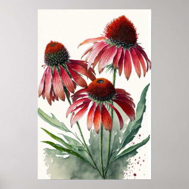 Red Coneflowers Art Impressão Poster (Frente)