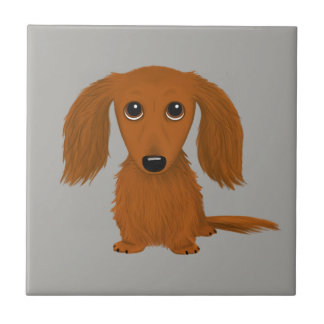 Red Dachshund de Longa Distância | Cachorro de Car