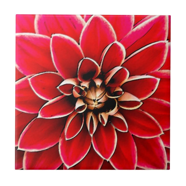 Red Dahlia, arte digital (Frente)