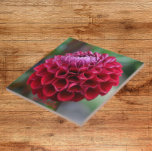 Red Dahlia Bloom Floral Cerâmica Azulejo<br><div class="desc">Azulejo cerâmico que mostra a foto de uma floração vermelha de Dahlia. Um design floral adorável! Selecione o tamanho do seu azulejo. Faz uma trivet de cozinha excelente!</div>