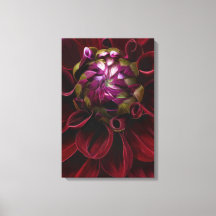 Red Dahlia Canvas
