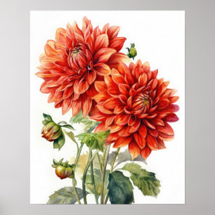 Red Dahlia Flowers Art Impressão Poster