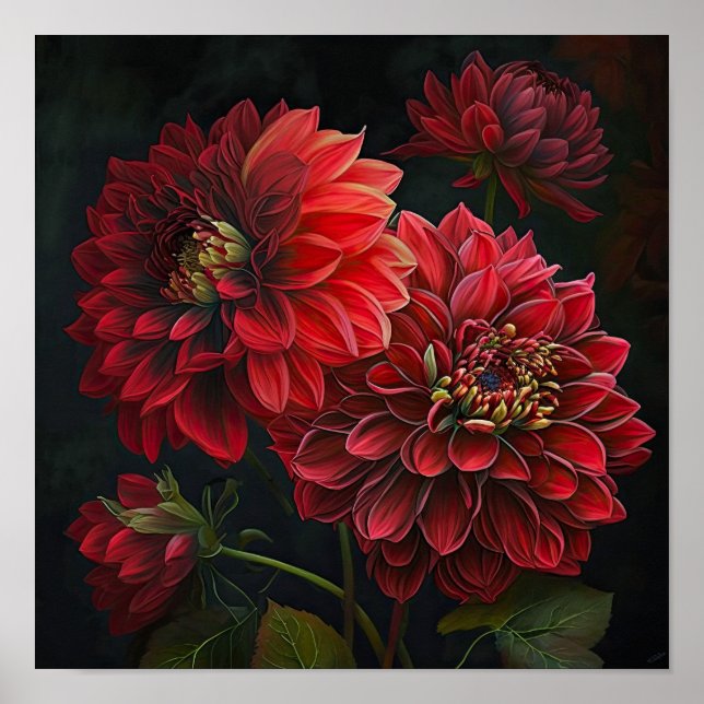 Red Dahlias Flower Art Impressão Poster (Frente)