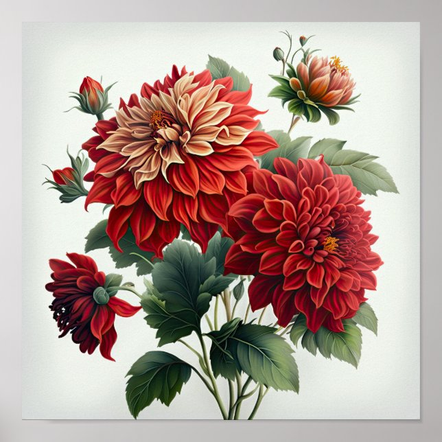 Red Dahlias Flower Art Impressão Poster (Frente)