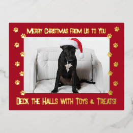 Red Deck the Halls With Toys & Treats 2 Foto