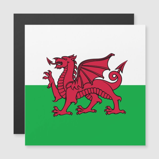 Red Dragon Celtic Flag & Welsh (Frente/Verso)