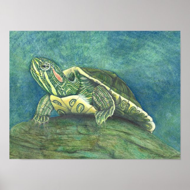 Red-Eared Slider Poster (Frente)
