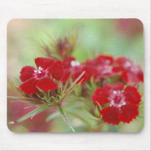Red Floral Garden Mousepad