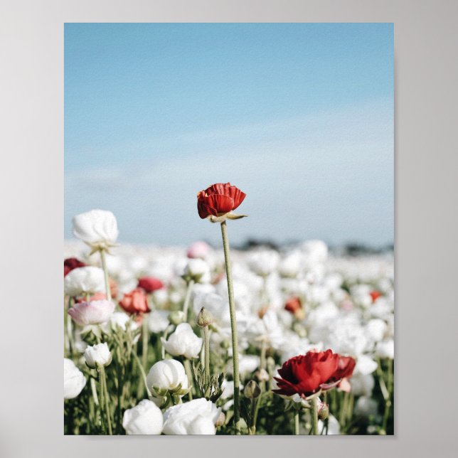 Red flower Print, Value Poster Paper (Semi-Gloss) (Frente)
