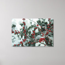 Red Frozen Berries Winter Stretch Canvas Art